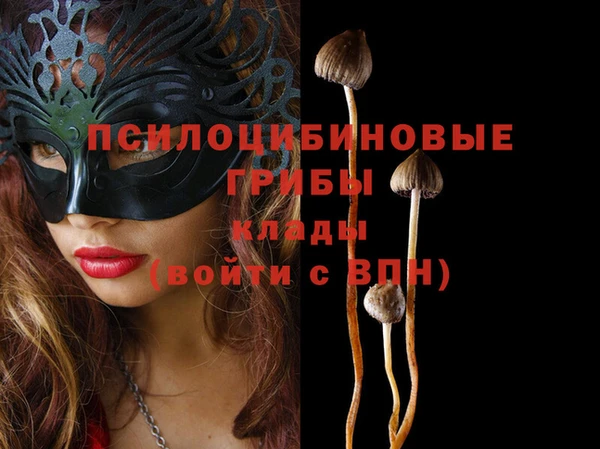 мдпв Осинники
