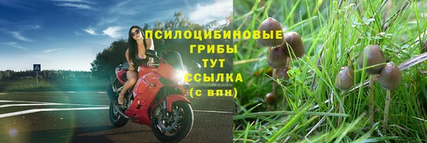 мдпв Осинники