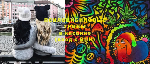 ПСИЛОЦИБИНОВЫЕ ГРИБЫ Осташков