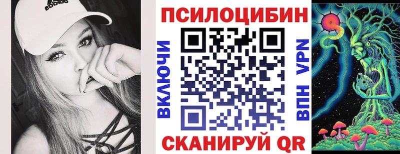 Псилоцибиновые грибы Psilocybine cubensis  Карталы 